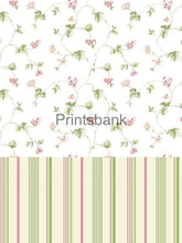 Wholesale Cambric Dress Material Top & Bottom Set